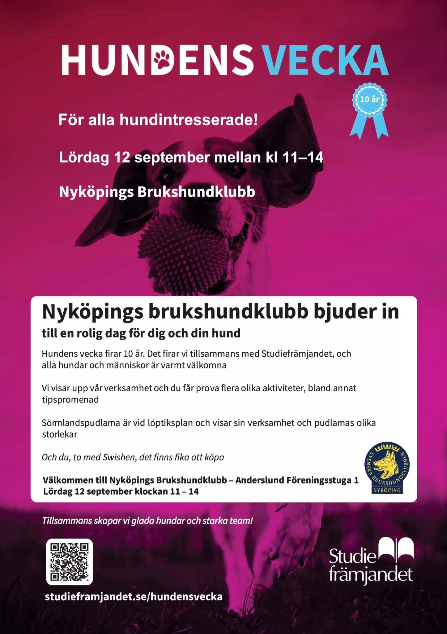 Hundens vecka tillsammans med Studiefrämjandet. Lördag 12 september.