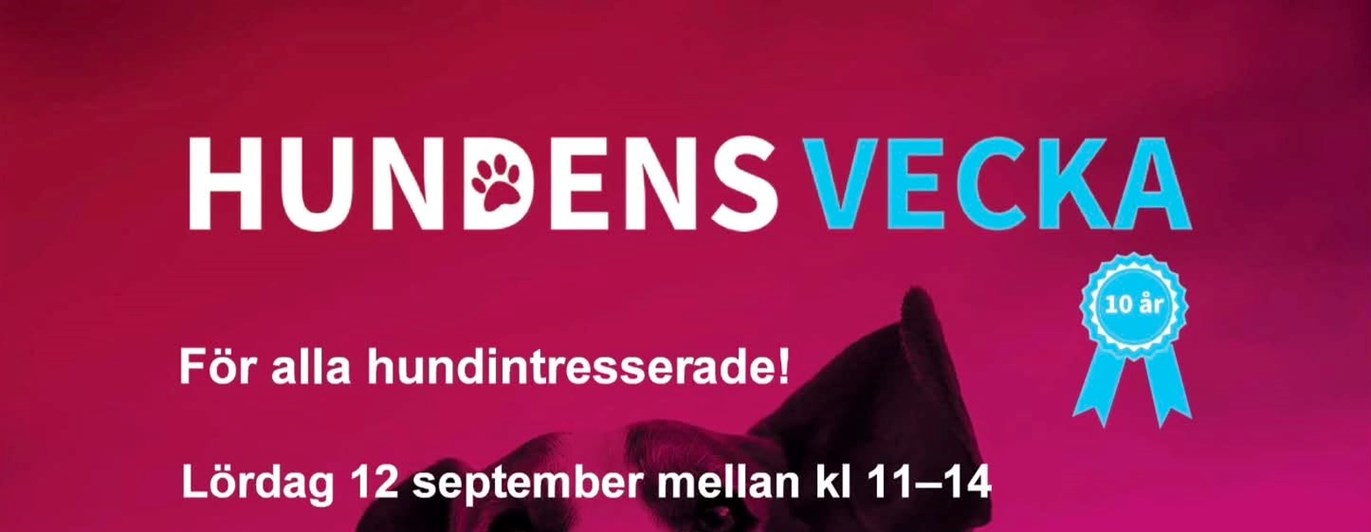 Hundens vecka tillsammans med Studiefrämjandet. Lördag 12 september.