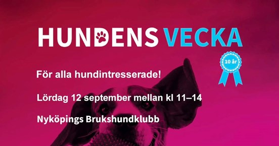 Hundens vecka tillsammans med Studiefrämjandet. Lördag 12 september.