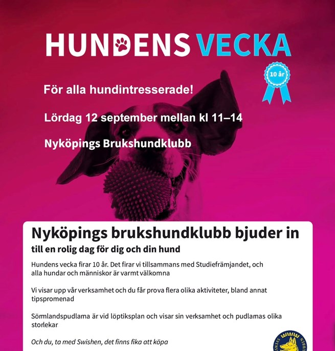 Hundens vecka tillsammans med Studiefrämjandet. Lördag 12 september.