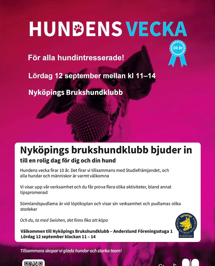Hundens vecka tillsammans med Studiefrämjandet. Lördag 12 september.