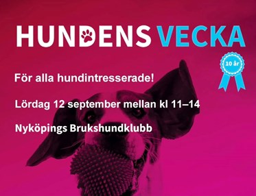 Hundens vecka tillsammans med Studiefrämjandet. Lördag 12 september.
