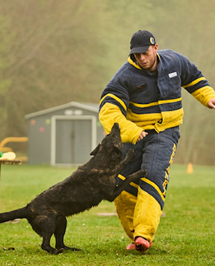 Mer bett i arm. Sitter kvar