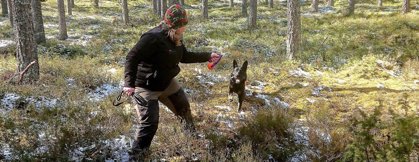 Förare och hund som leker i skogen med en boll