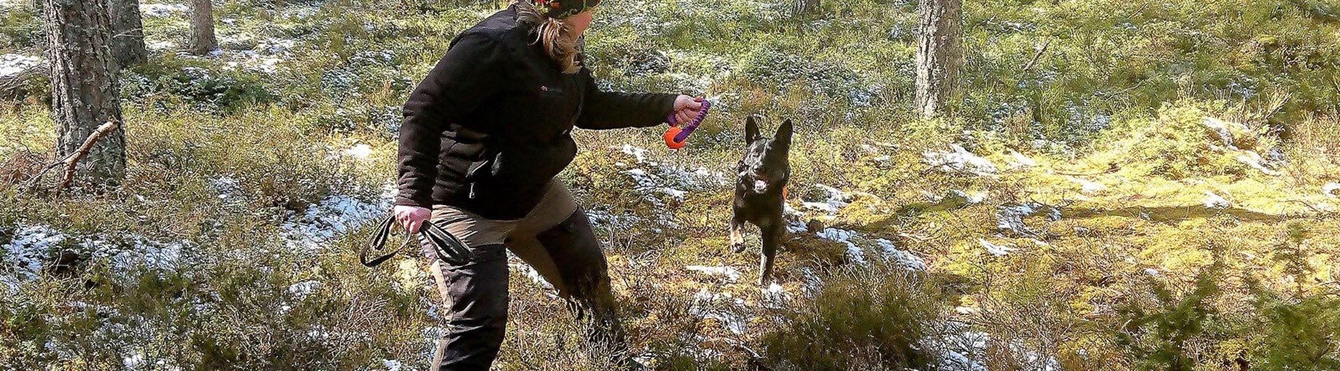 Förare och hund som leker i skogen med en boll