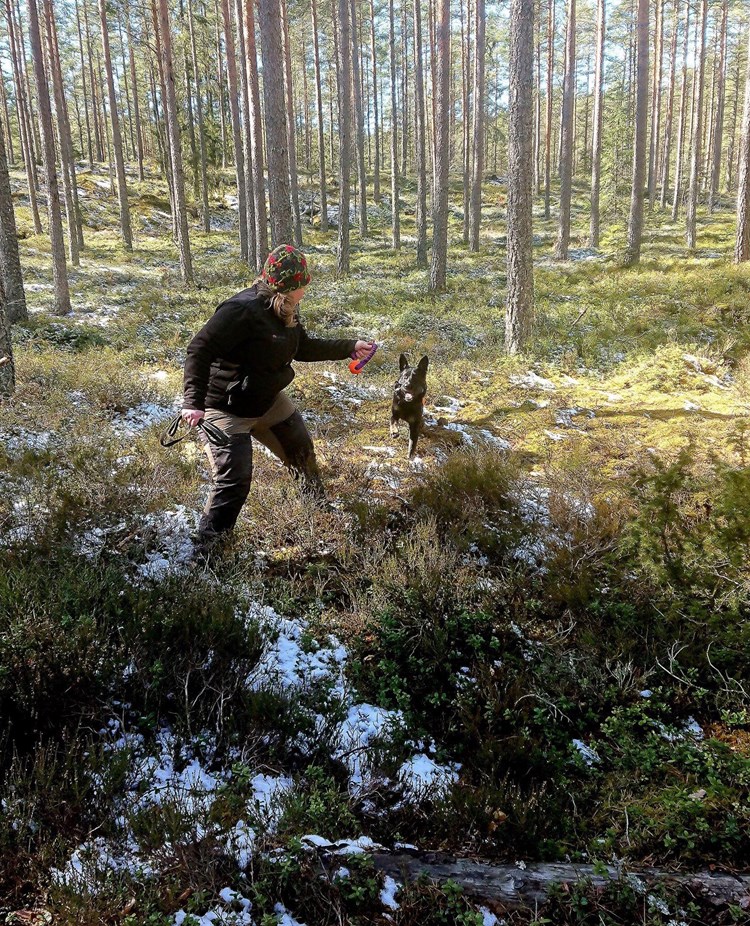 Förare och hund som leker i skogen med en boll
