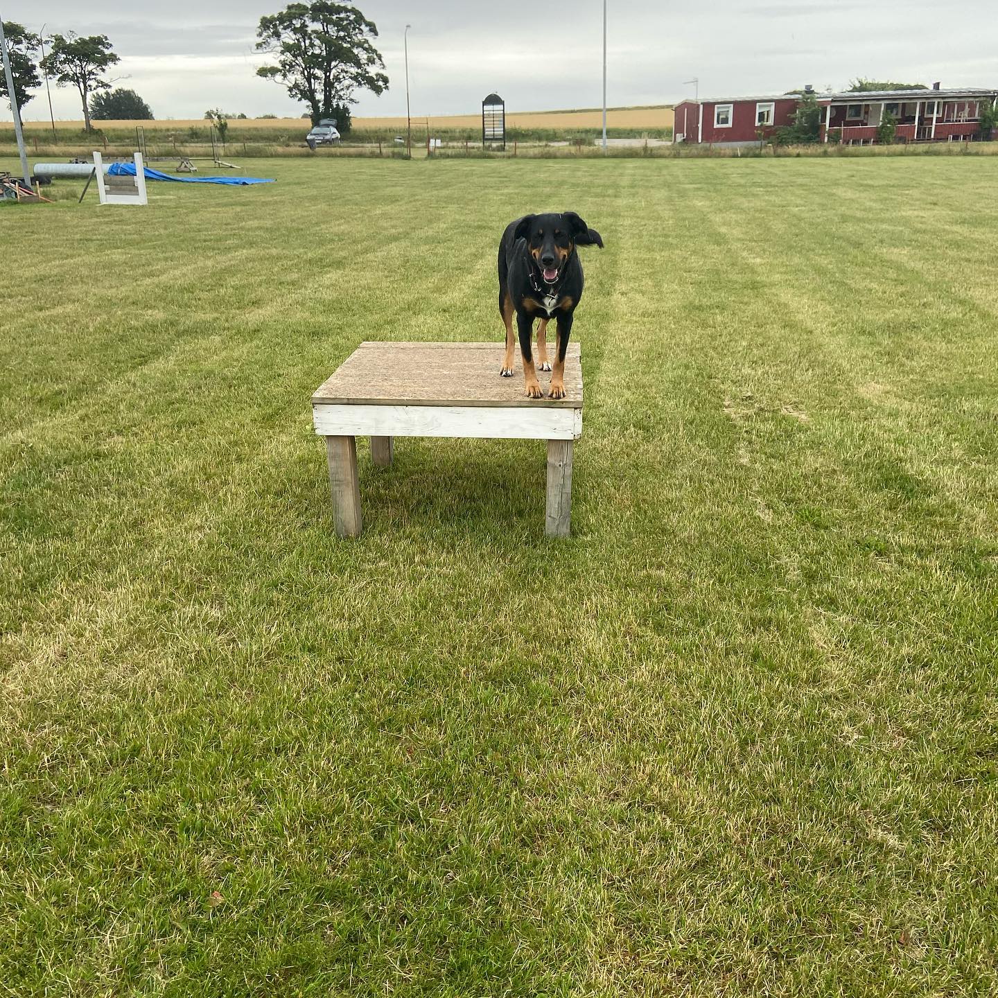 Planen på Eslövs Brukshundklubb