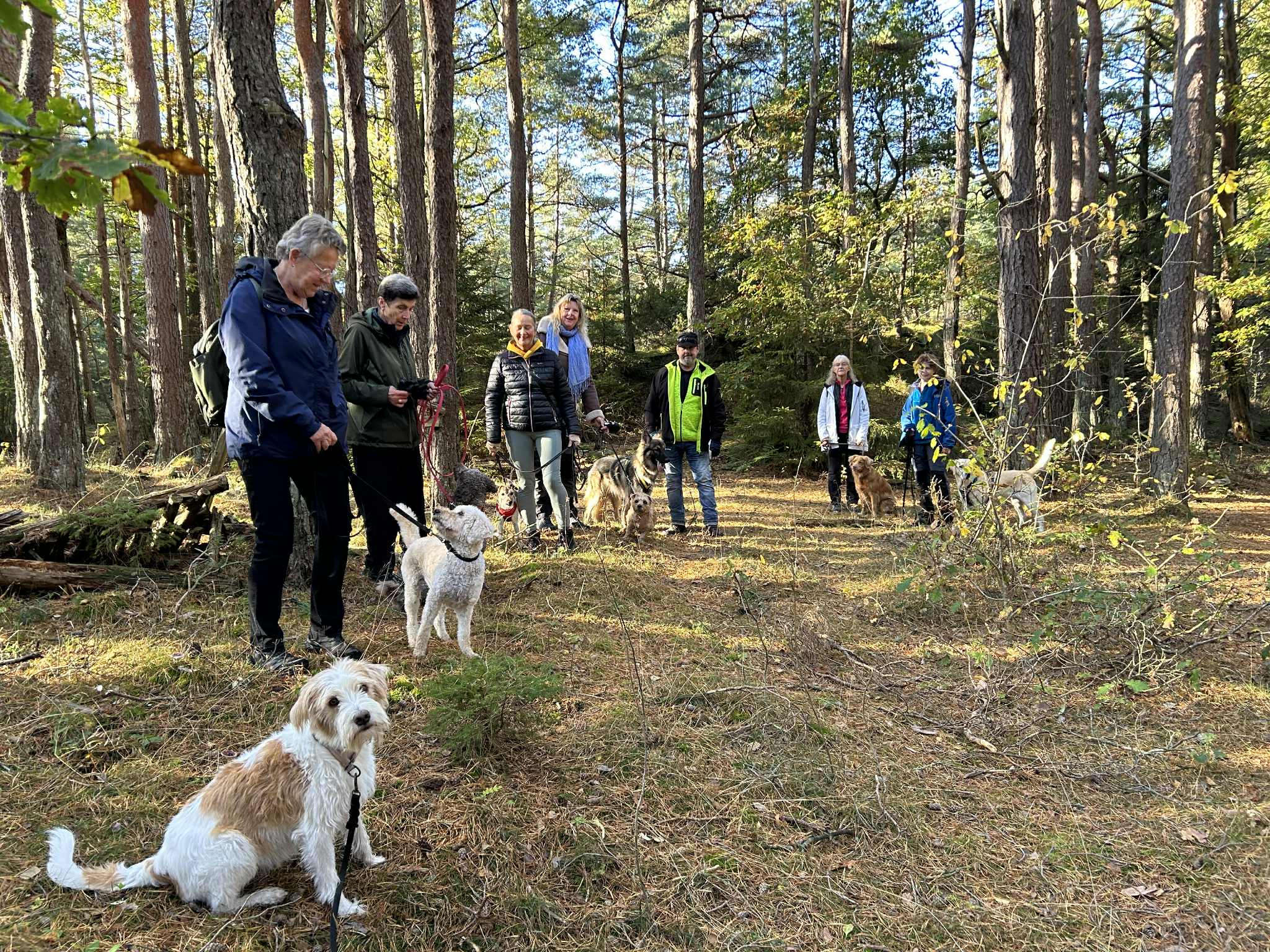 Hundar och hundägare på promenad TÖBK