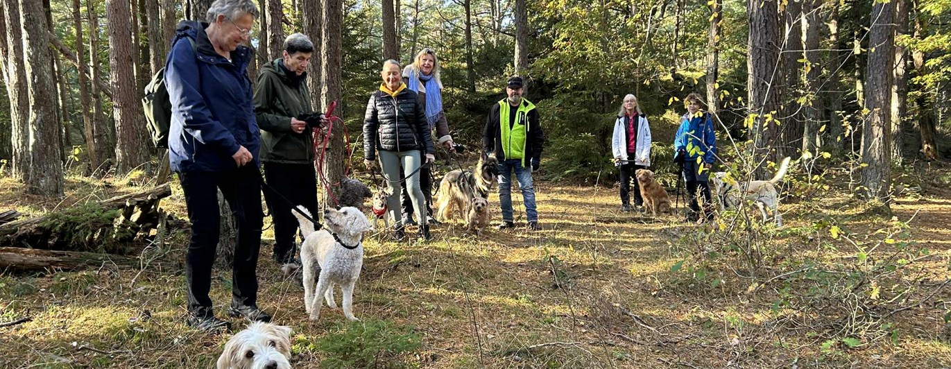Hundar och hundägare på promenad TÖBK
