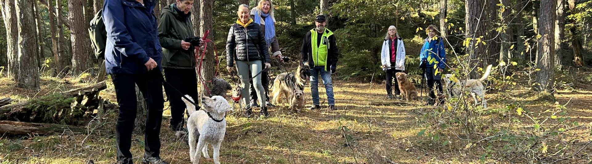 Hundar och hundägare på promenad TÖBK