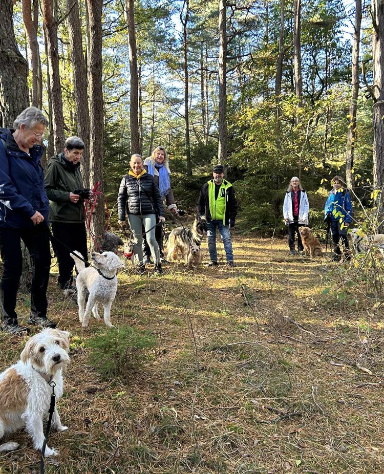 Hundar och hundägare på promenad TÖBK