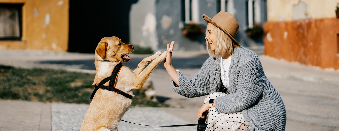 Hund och matte gör highfive med varandra ute på stan.