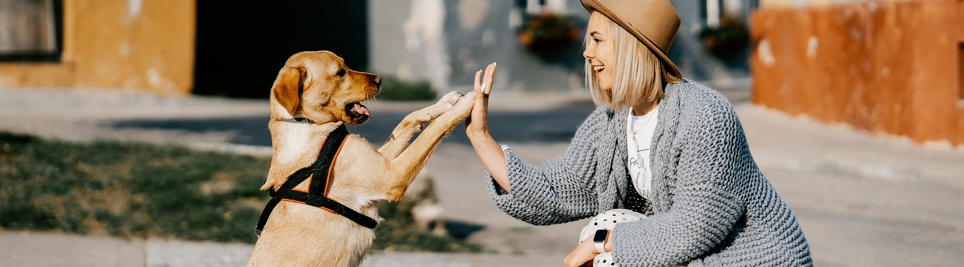 Hund och matte gör highfive med varandra ute på stan.