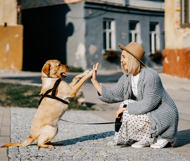 Hund och matte gör highfive med varandra ute på stan.
