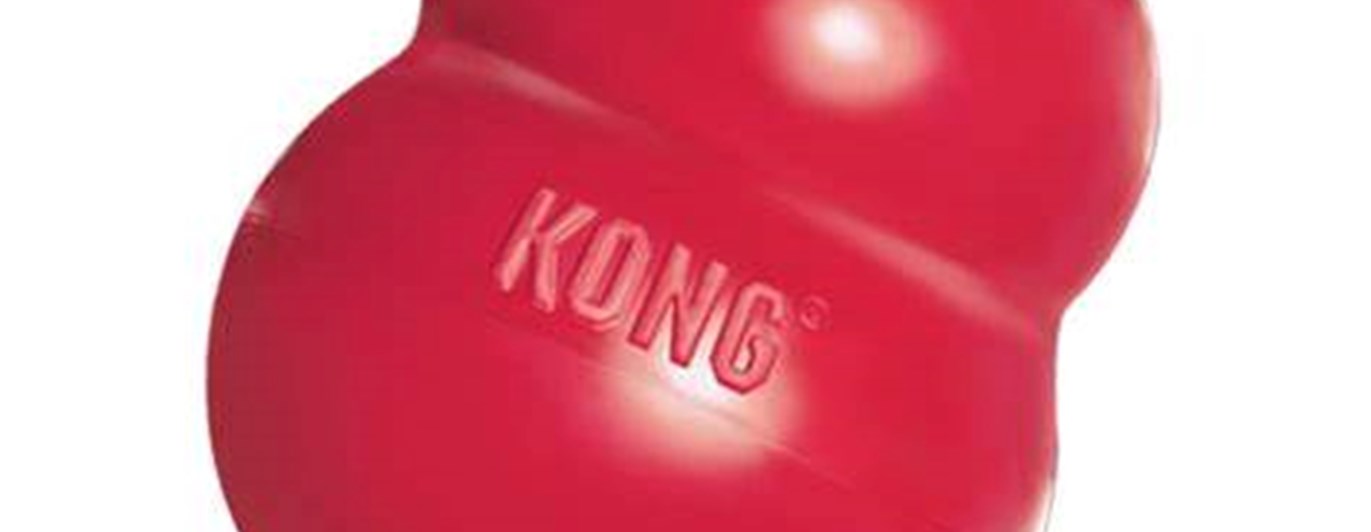 Kong