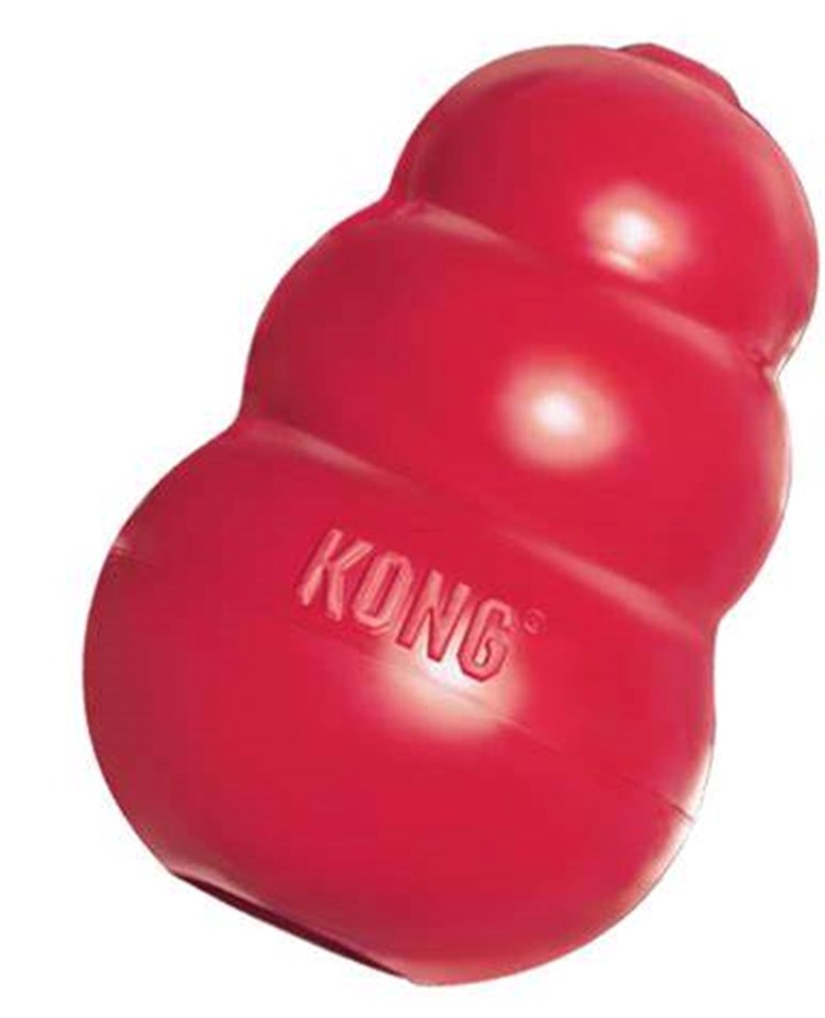 Kong
