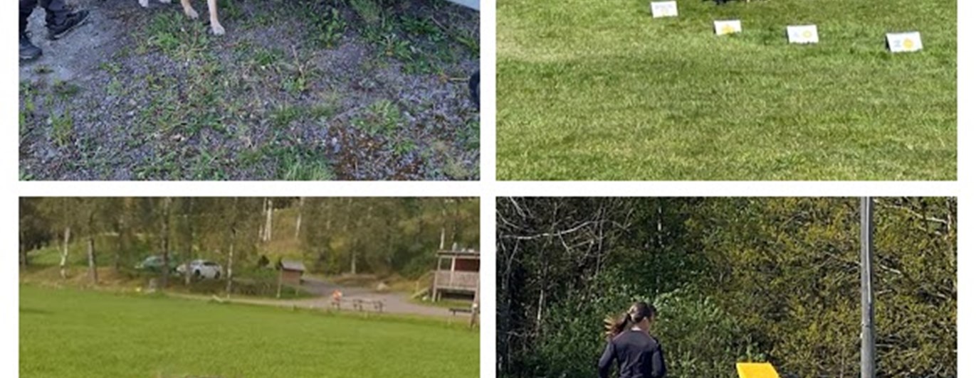 Olika hundsporter, Torslanda Öckerö Brukshundklubb