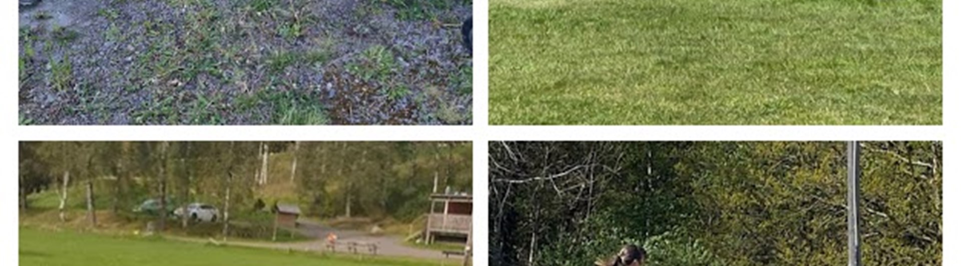 Olika hundsporter, Torslanda Öckerö Brukshundklubb