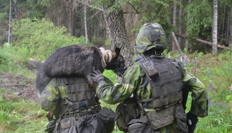 Tjänstehund blir buren på axlarna av militär