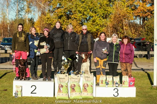 DM 18 okt Skövde 3:a