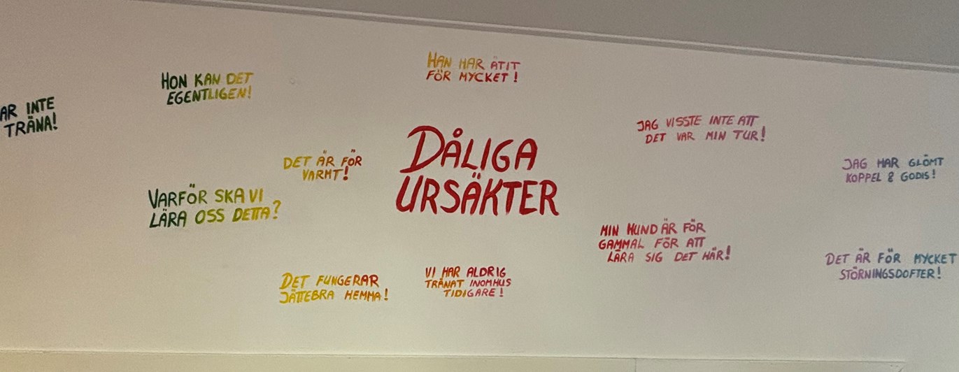 Dåliga ursäkter!