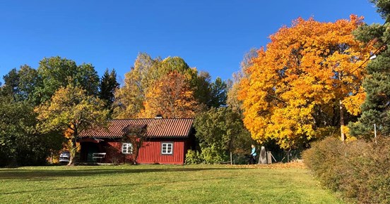 Lillstugan I Höstskrud