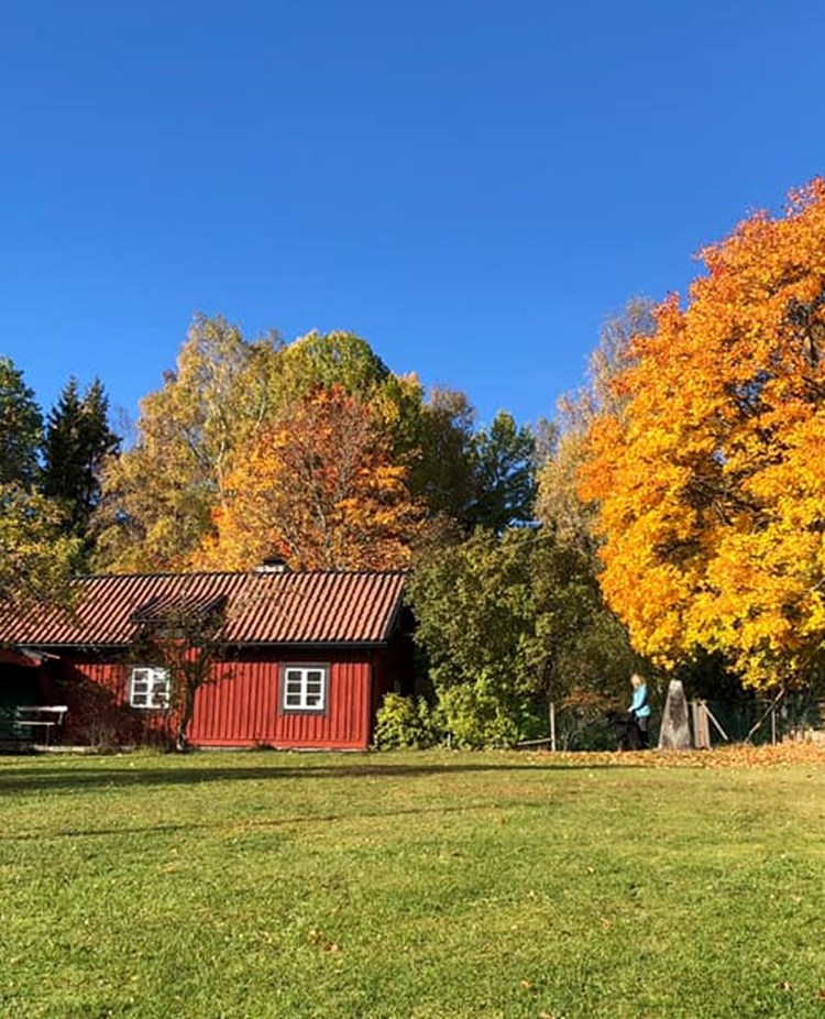 Lillstugan I Höstskrud