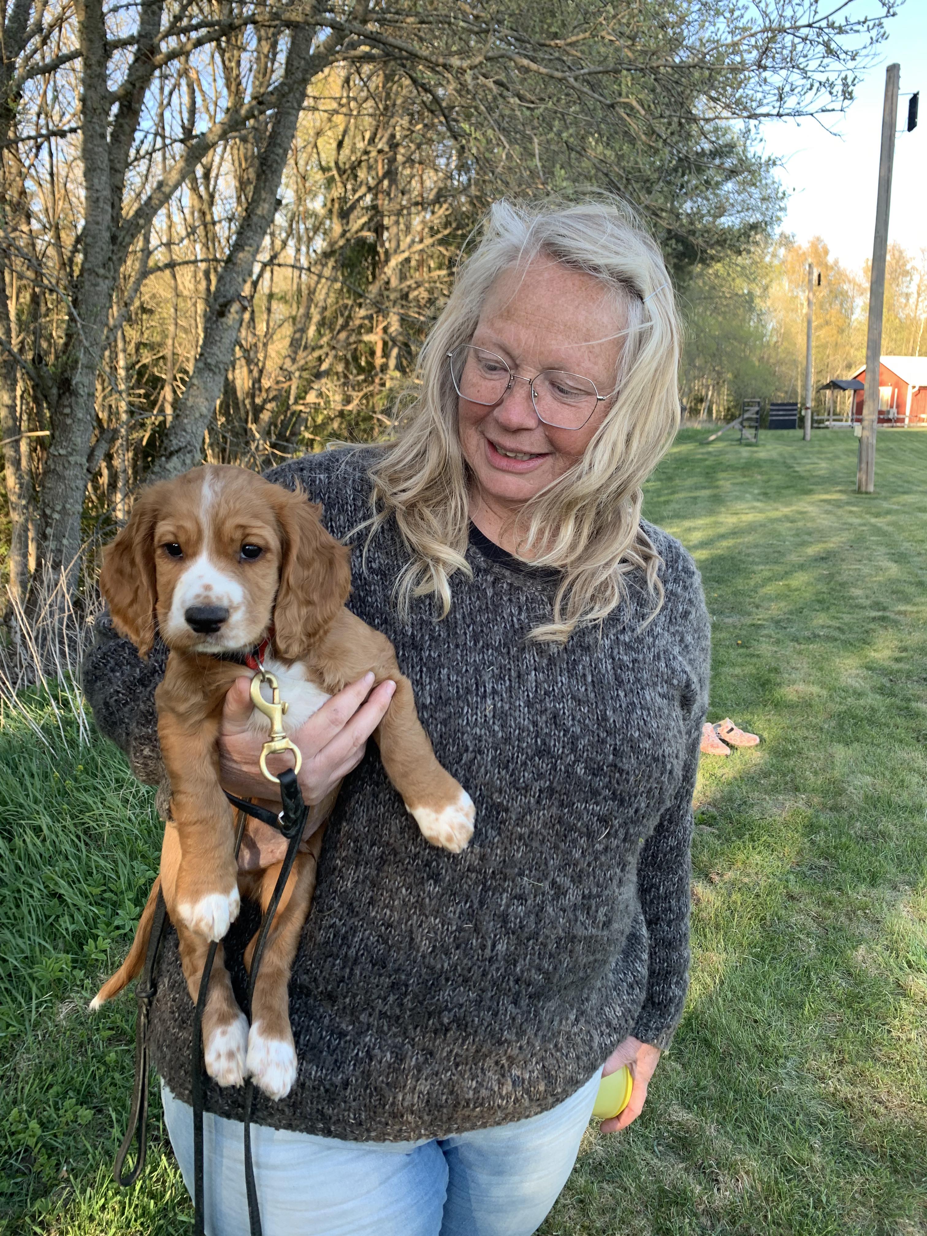 Människa håller i en valp