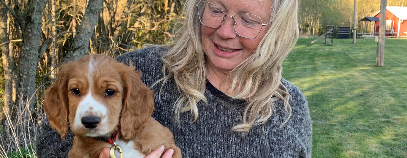 Människa håller i en valp