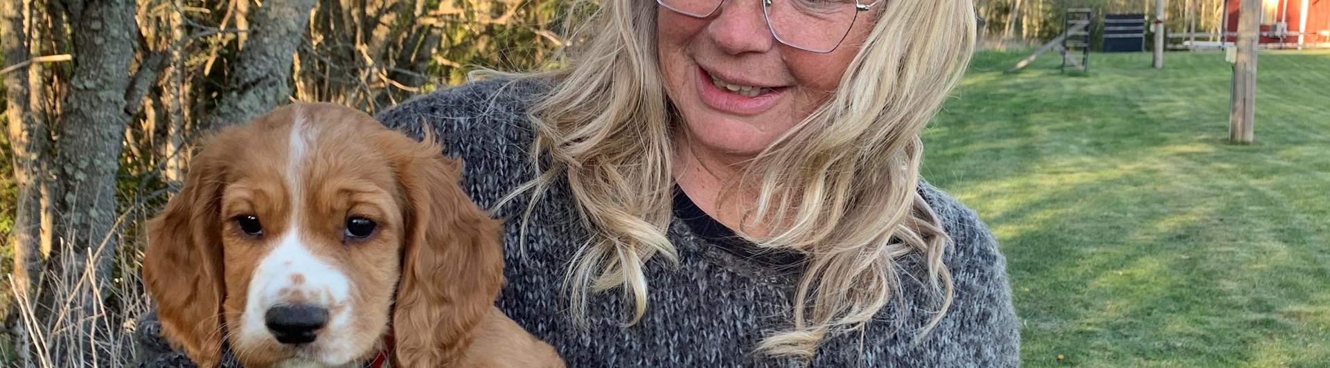 Människa håller i en valp