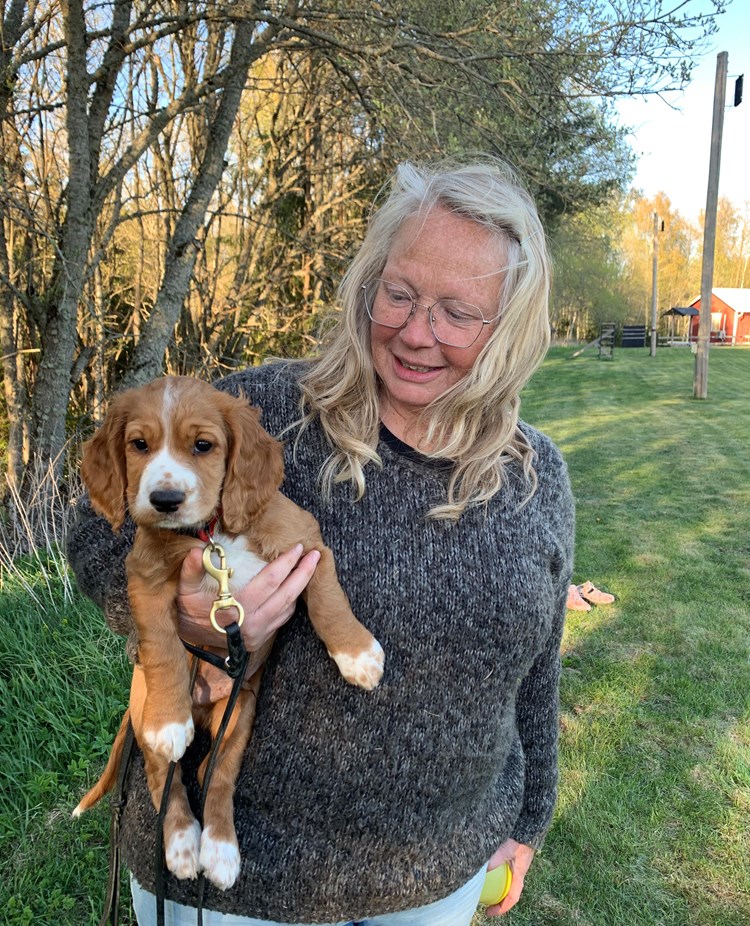 Människa håller i en valp