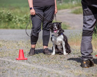 KM vinnare 2024 i Specialsök: Nina Hultberg & Axa