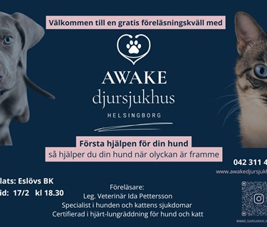 Första hjälpen för hund