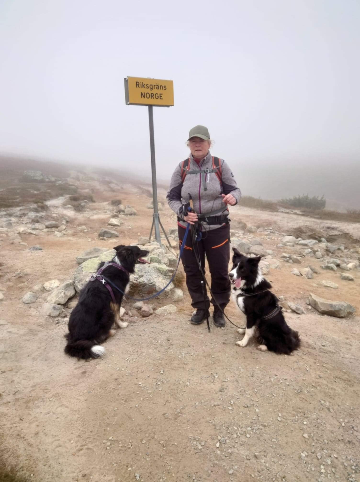 Kicki med hennes två Border Collies på vandring. 