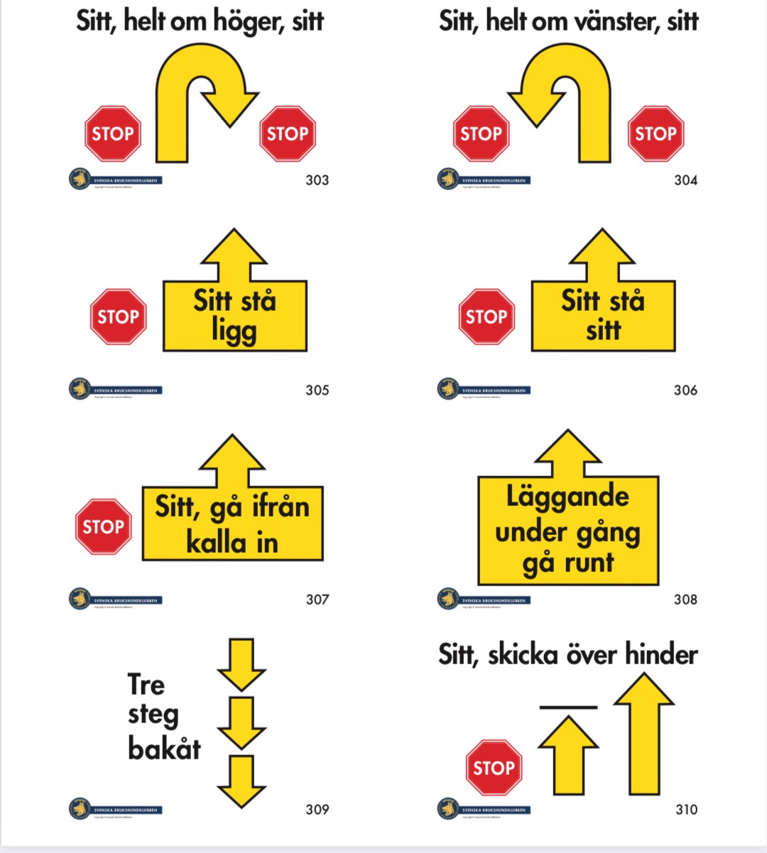 Bild på moment som ingår i Rallylydnad avancerad klass
