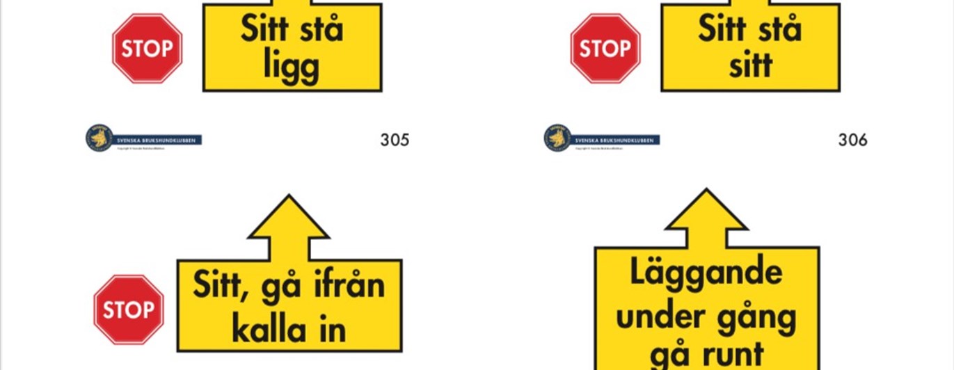 Bild på moment som ingår i Rallylydnad avancerad klass