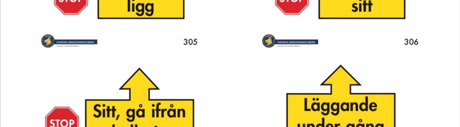 Bild på moment som ingår i Rallylydnad avancerad klass