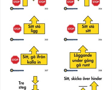 Bild på moment som ingår i Rallylydnad avancerad klass