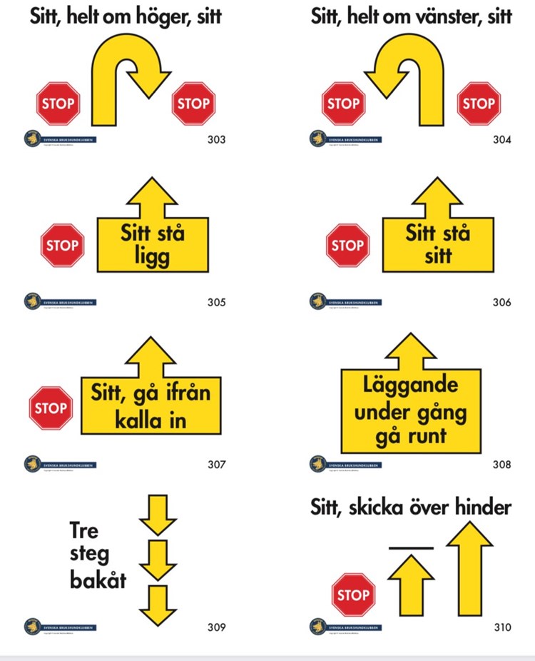 Bild på moment som ingår i Rallylydnad avancerad klass