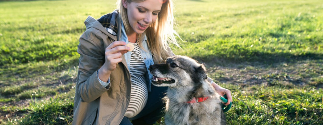 Kvinna med hund