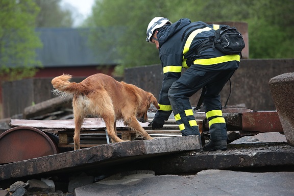 Fotograf: Christian Björses