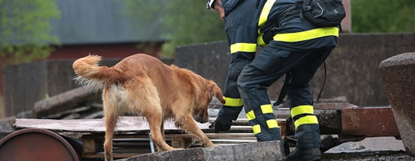 Fotograf: Christian Björses