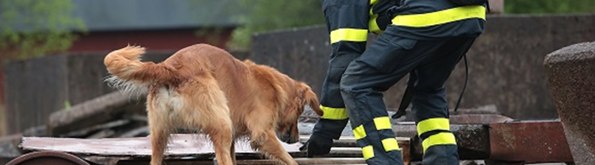 Fotograf: Christian Björses