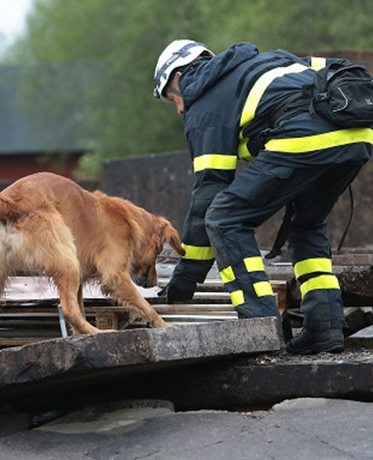 Fotograf: Christian Björses