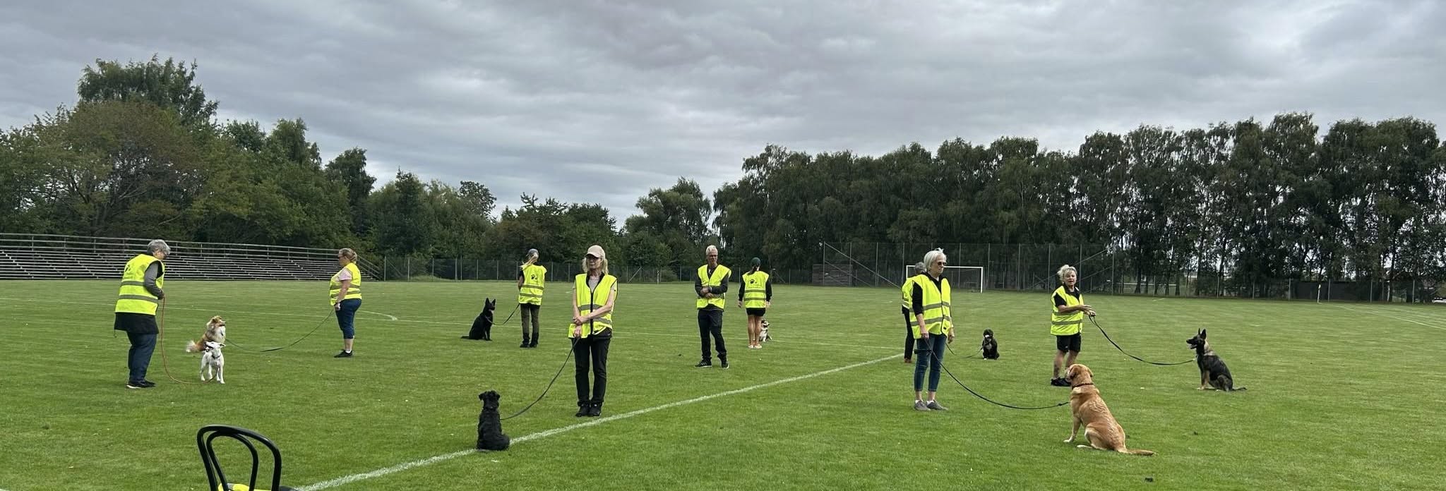 Hundar och hundförare i en stor ring. 