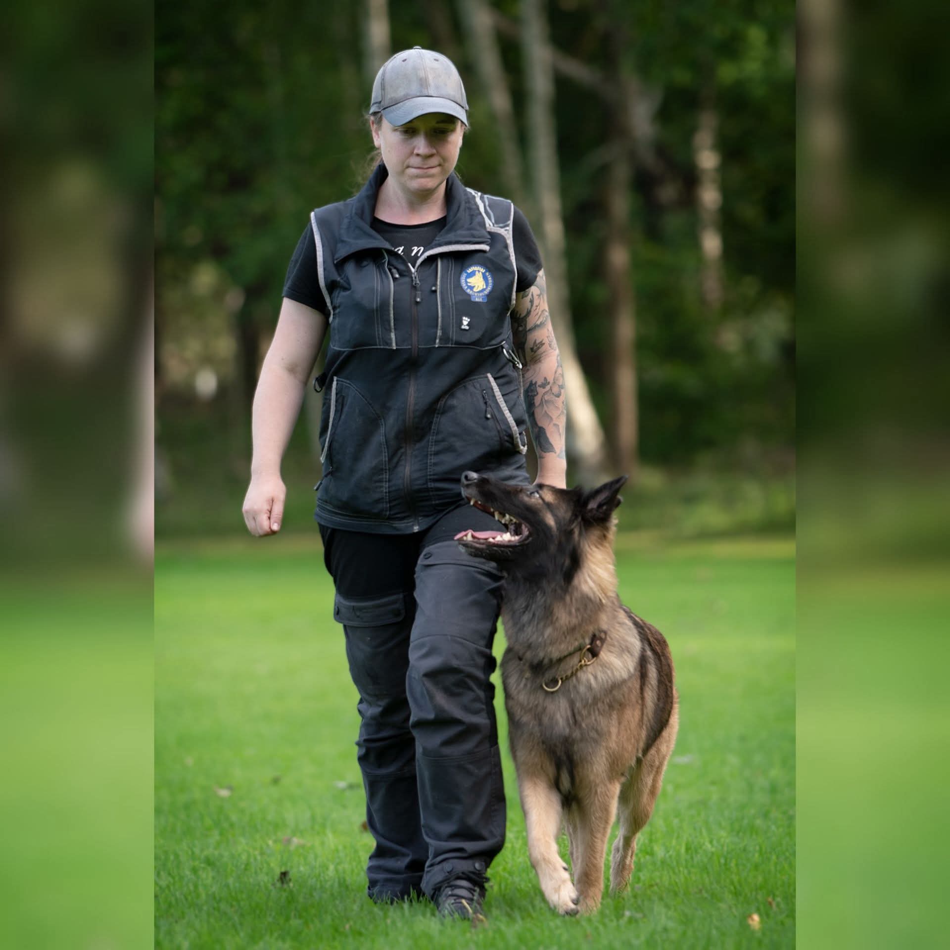 Hund som går fot bredvid sin kvinnliga förare.