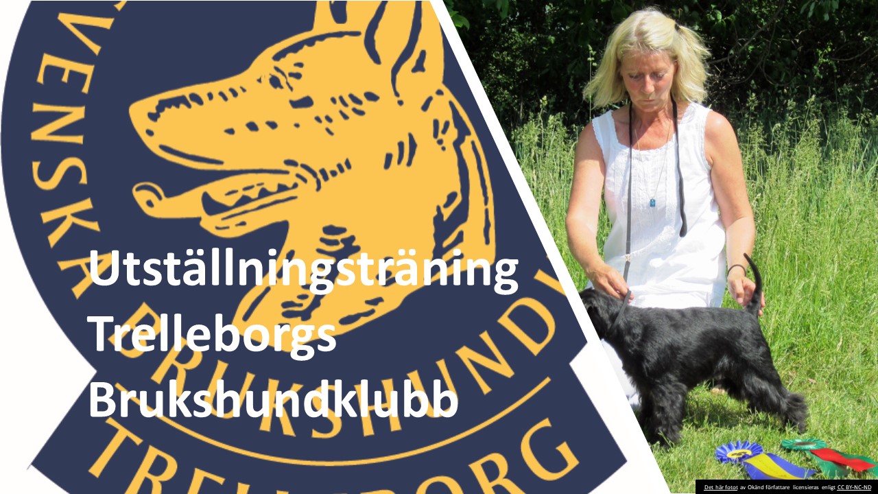 Inbjudan till utställningsträning