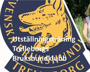 Inbjudan till utställningsträning