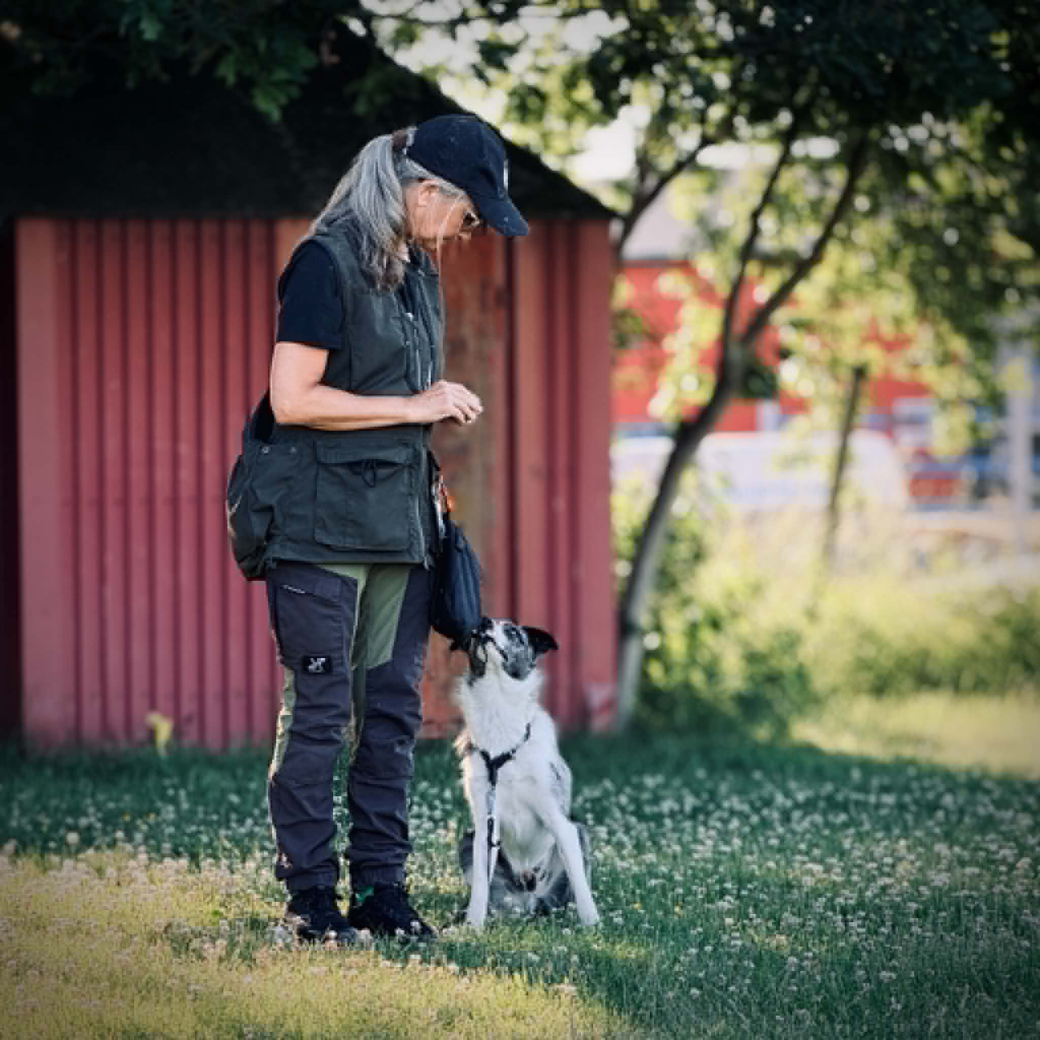 Hund och ägare tränar kontakt