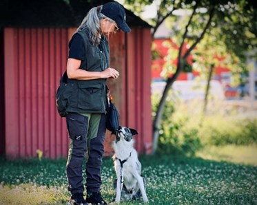 Hund och ägare tränar kontakt